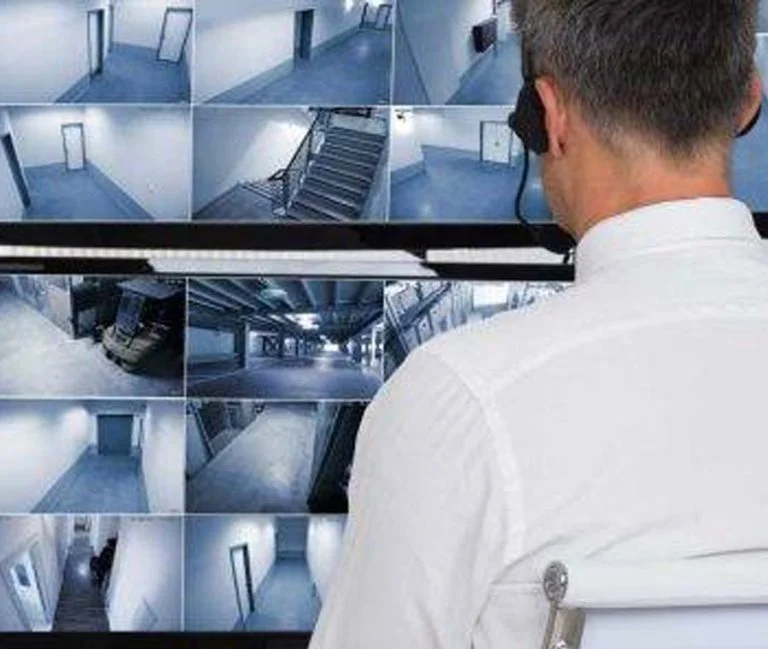 A quoi sert une télésurveillance dans une villa à Lyon ?